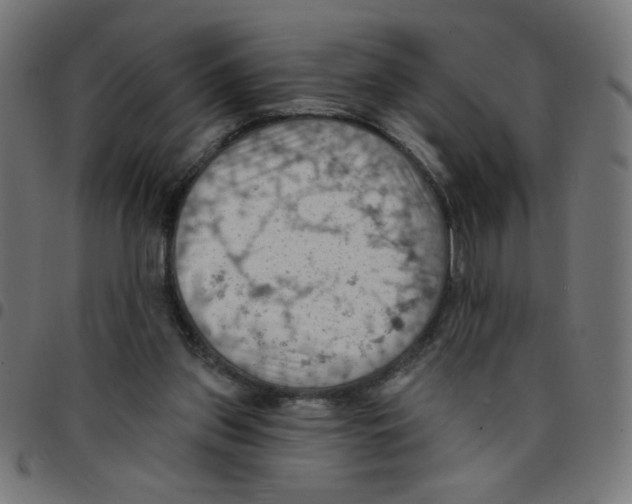 X0000096950157200803071036