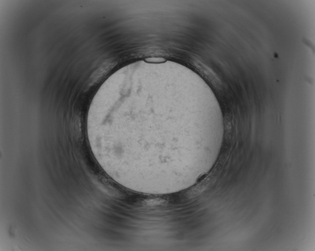 X0000096950158200803071036