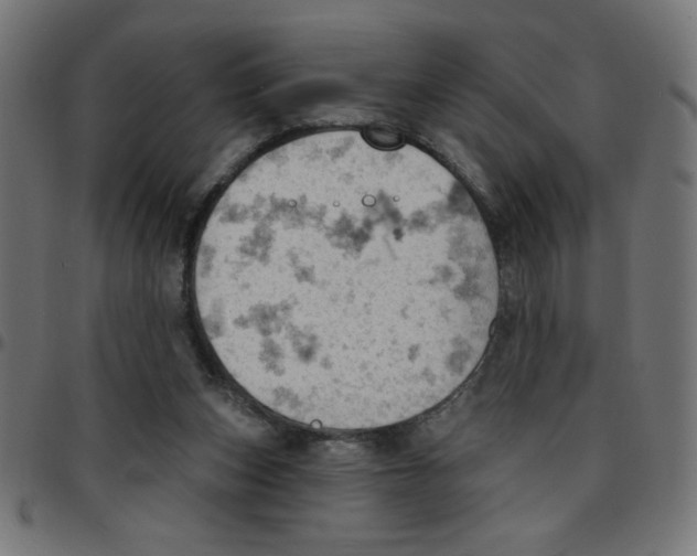 X0000096950159200803071036