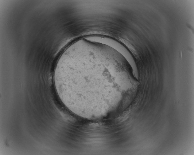 X0000096950160200803071036