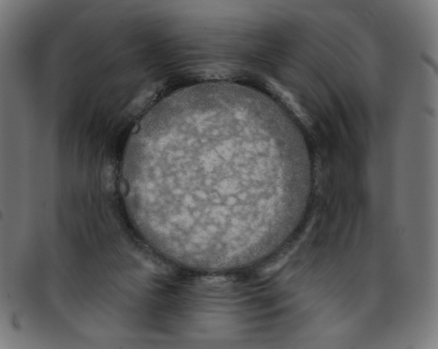 X0000096950161200803071036