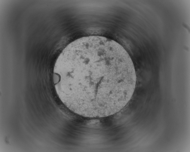 X0000096950162200803071036