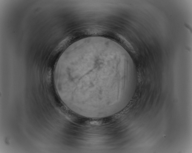 X0000096950163200803071036