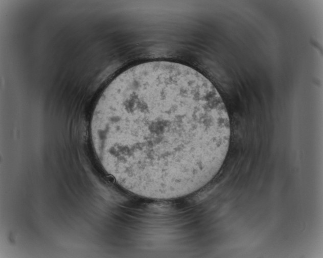 X0000096950164200803071036