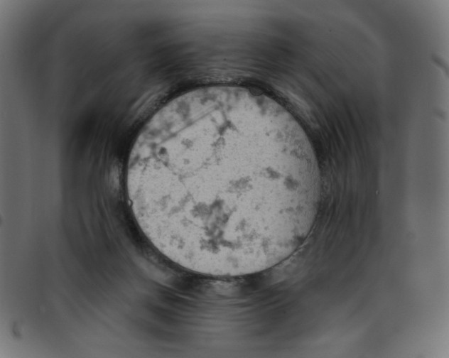 X0000096950166200803071036
