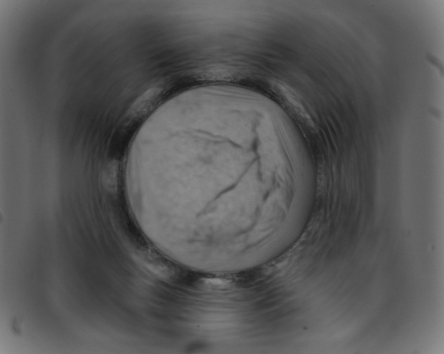 X0000096950167200803071036