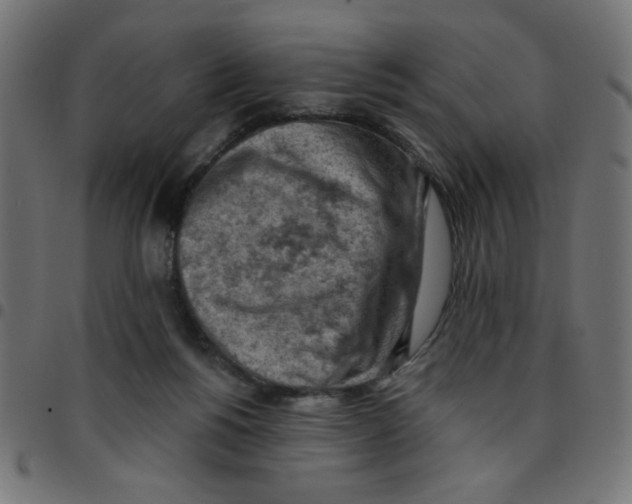 X0000096950168200803071036