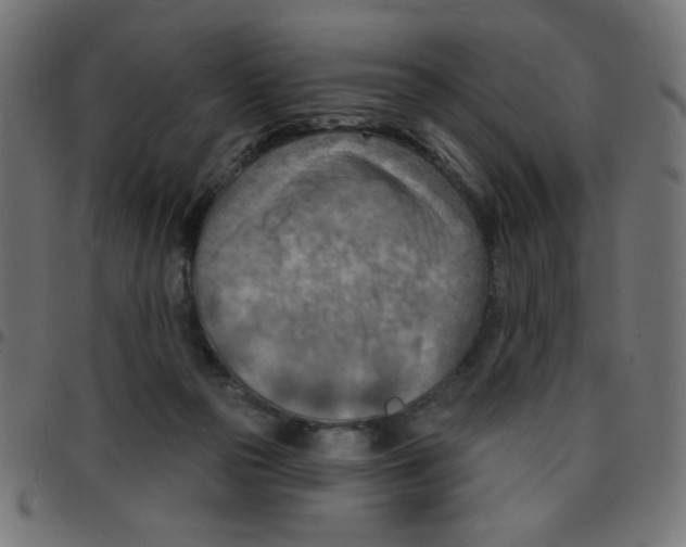 X0000096950169200803071036