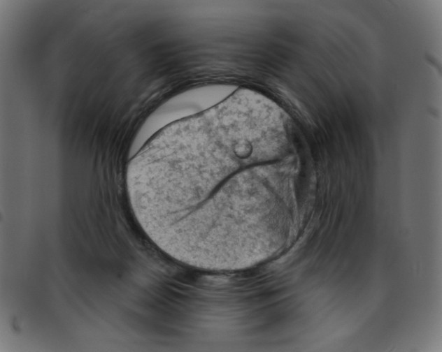 X0000096950170200803071036