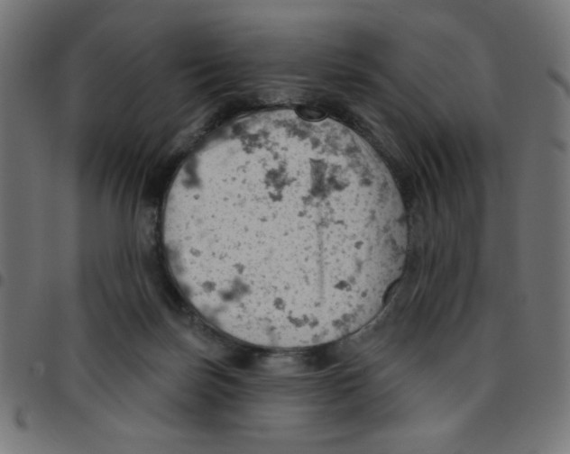 X0000096950171200803071036