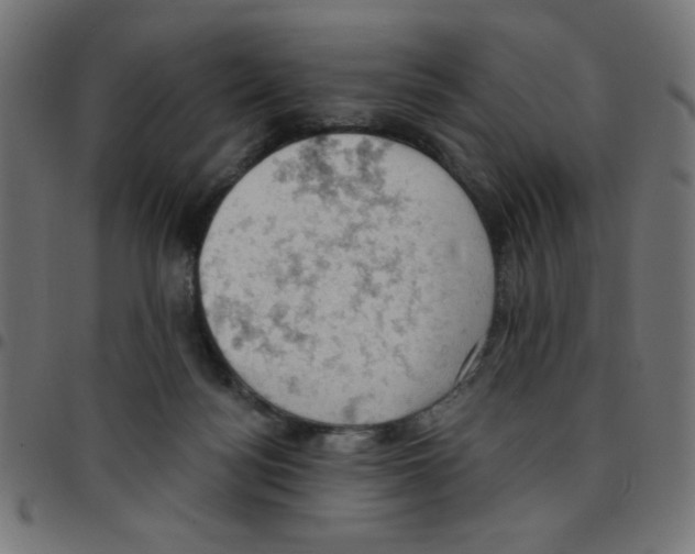 X0000096950172200803071036