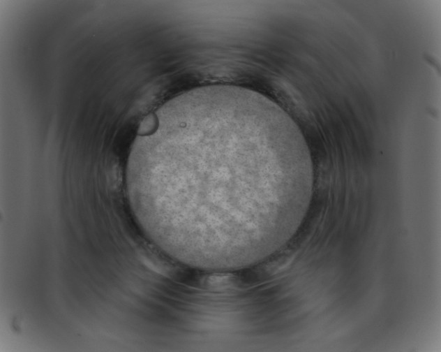 X0000096950173200803071036