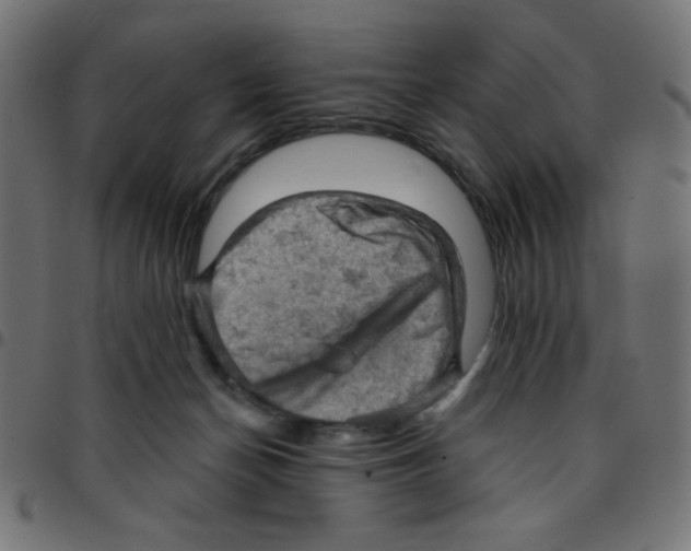 X0000096950174200803071036