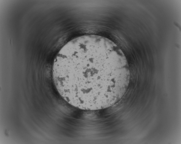 X0000096950175200803071036