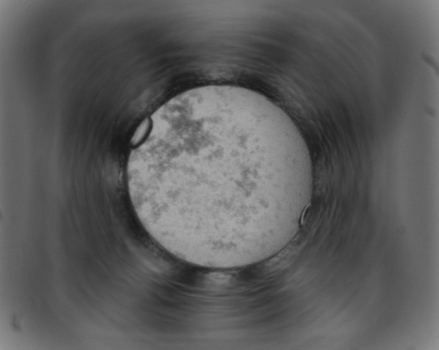 X0000096950176200803071036