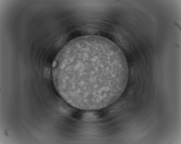 X0000096950177200803071036