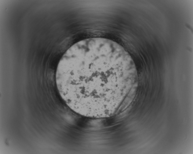 X0000096950178200803071036