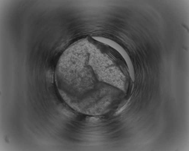 X0000096950180200803071036