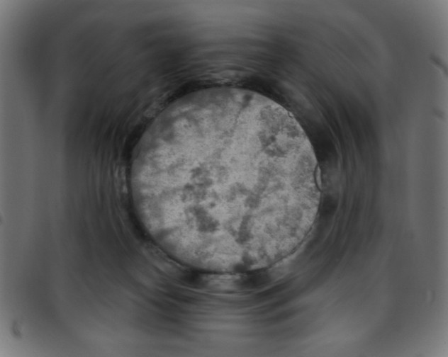 X0000096950182200803071036