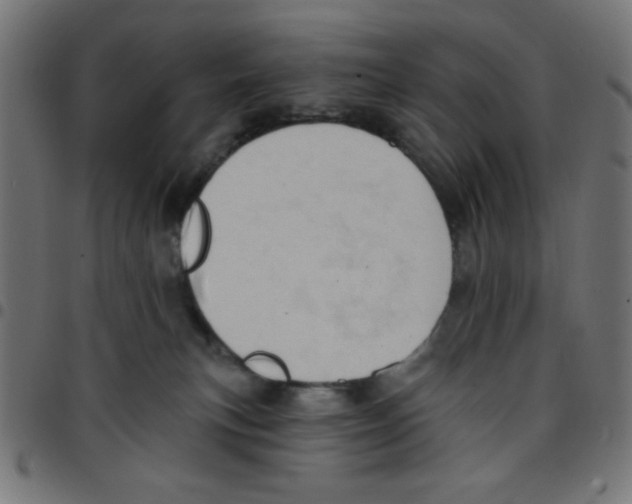 X0000096950183200803071036