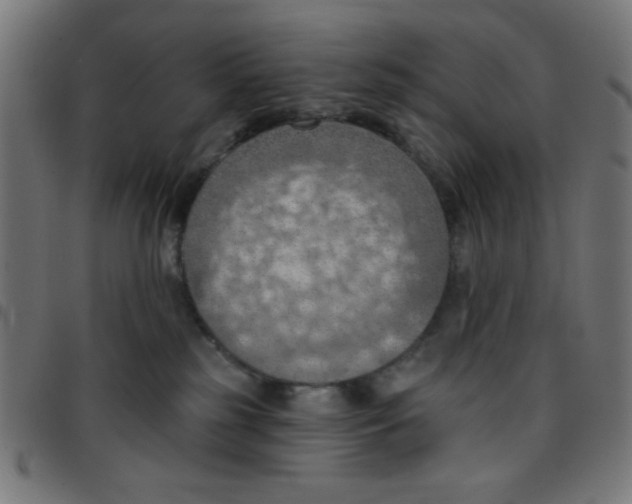 X0000096950185200803071036