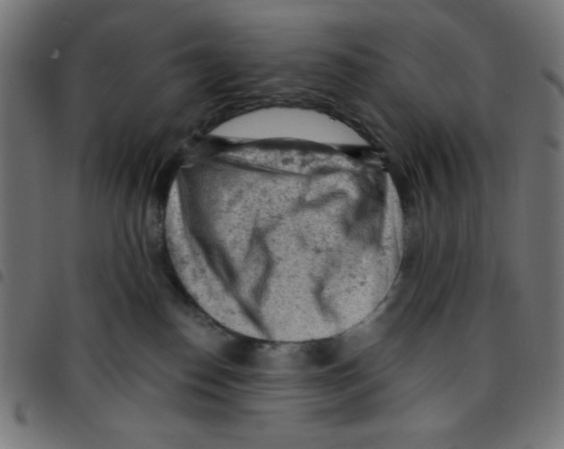 X0000096950186200803071036