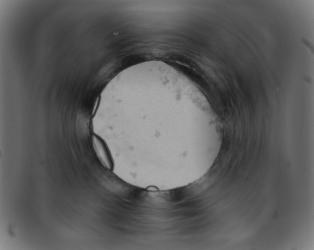 X0000096950188200803071036