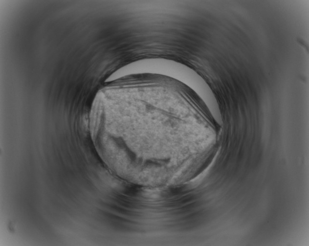 X0000096950190200803071036
