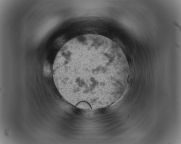 X0000096950191200803071036