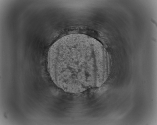 X0000096950192200803071036