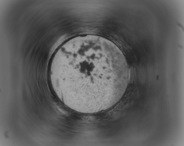 X0000096950195200803071035