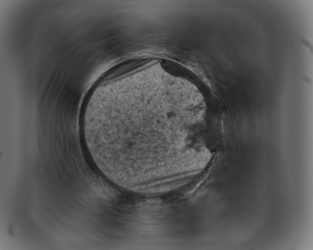 X0000096950196200803071035