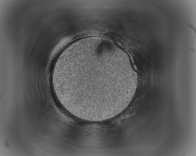 X0000096950197200803071035