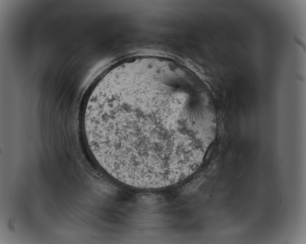X0000096950199200803071035