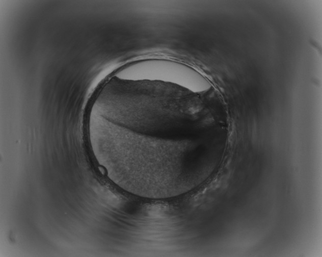 X0000096950200200803071035
