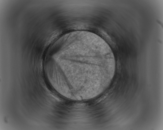X0000096950202200803071035