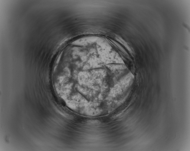 X0000096950203200803071035