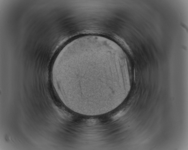 X0000096950204200803071035