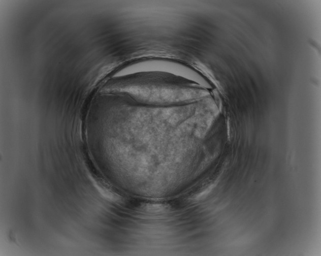 X0000096950205200803071035