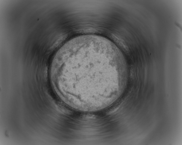 X0000096950206200803071035