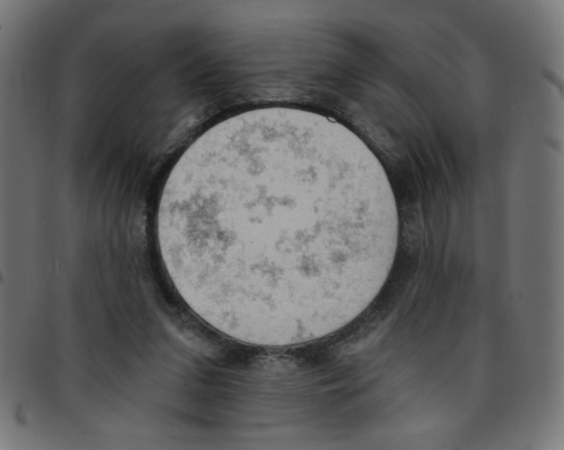 X0000096950207200803071035