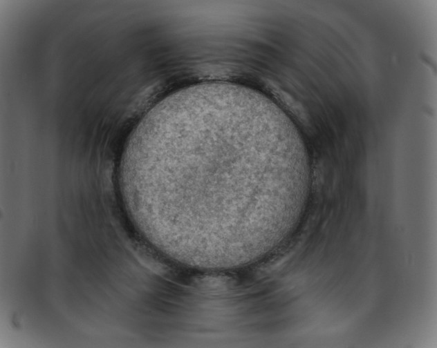 X0000096950209200803071035