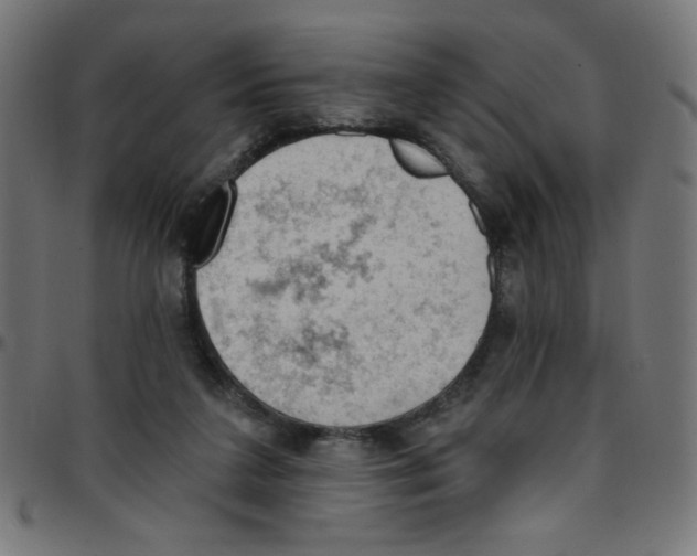 X0000096950211200803071035