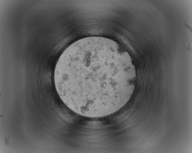 X0000096950212200803071035
