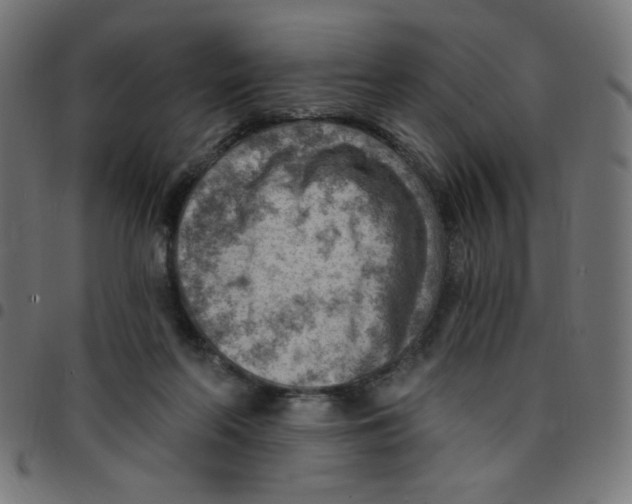 X0000096950214200803071035