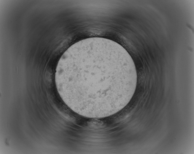 X0000096950215200803071035