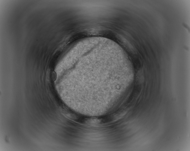 X0000096950217200803071035