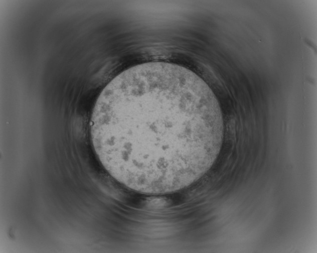X0000096950218200803071035