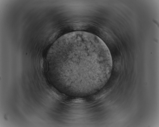 X0000096950219200803071035