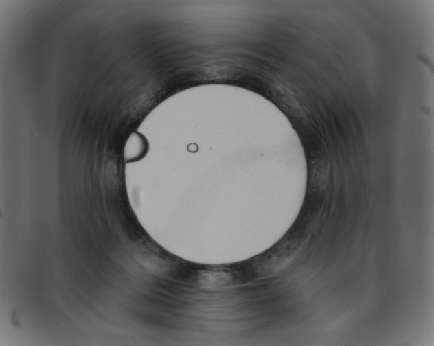 X0000096950220200803071035